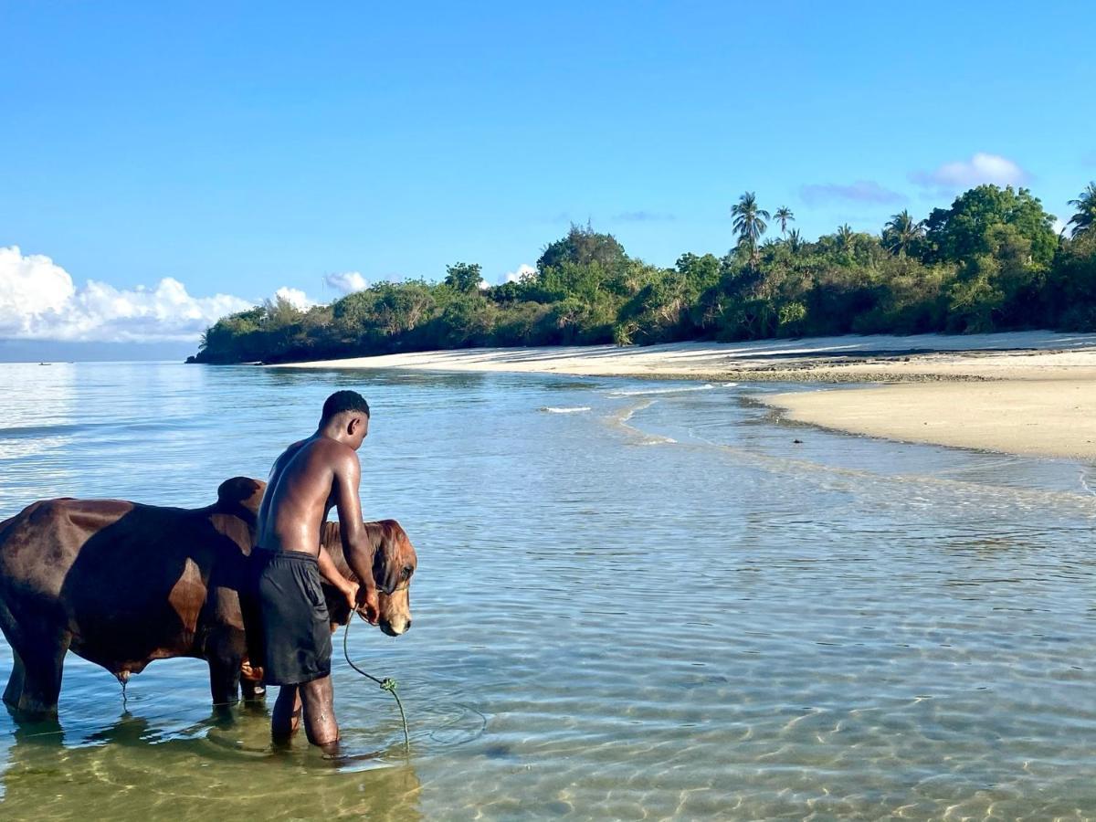 Kingstone Lodge Zanzibar Bet-el-Mali Eksteriør bilde