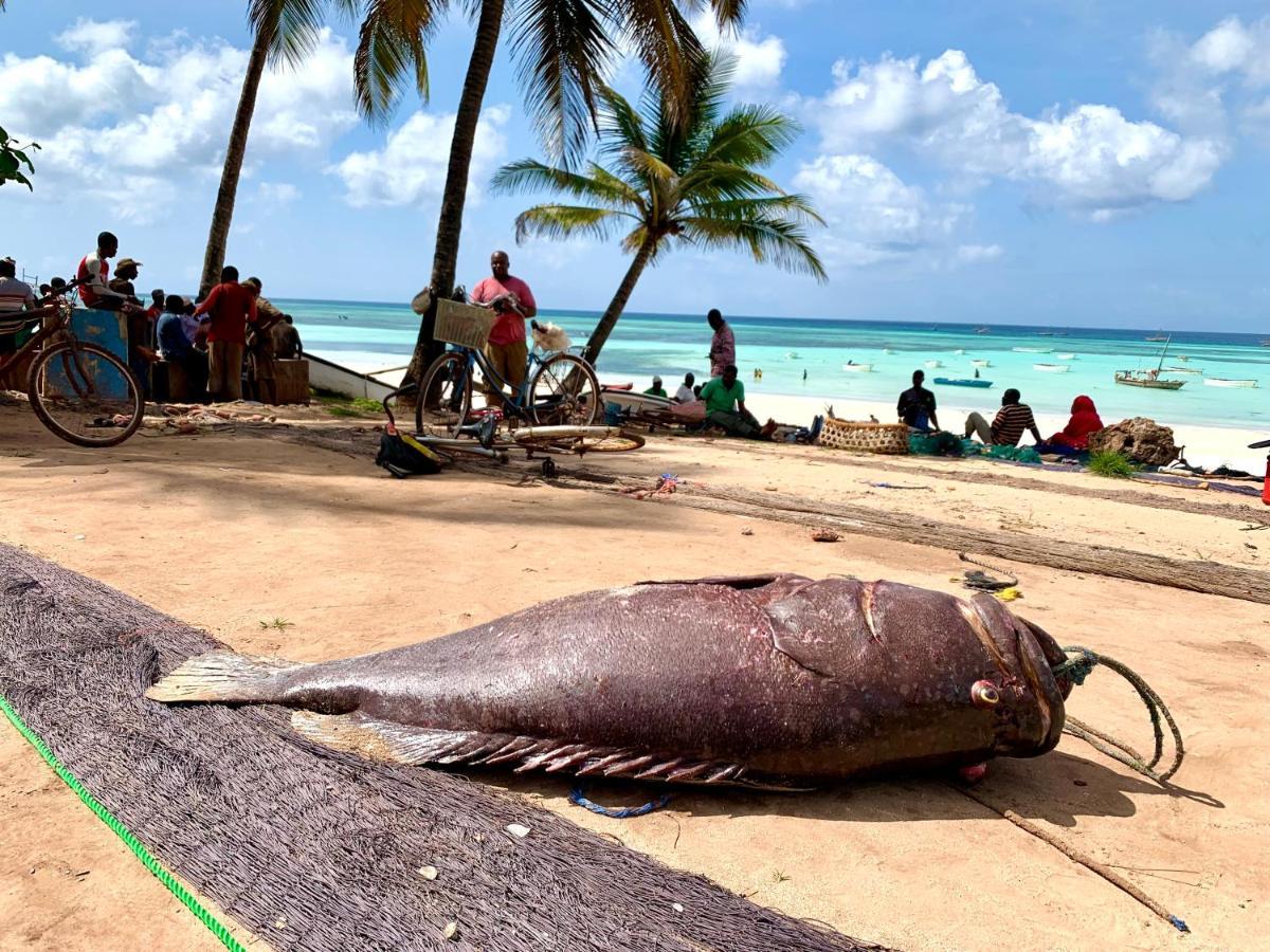 Kingstone Lodge Zanzibar Bet-el-Mali Eksteriør bilde